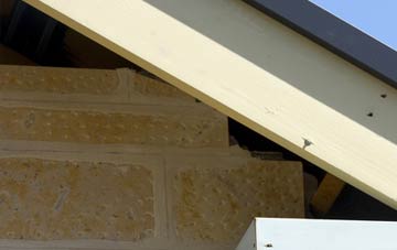 soffit repair East Stour Common