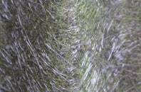 East Stour Common fibreglass roof work